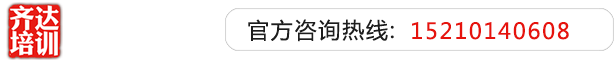 插舔小B齐达艺考文化课-艺术生文化课,艺术类文化课,艺考生文化课logo